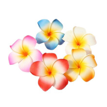 10 kpl Monivδriset Hawaii Plumeria -kukkaklipsit Havaijin kukkakiinnittimet Beach Party -hiusklipsit Keinotekoiset trooppiset kukkahiusneulat kauneus