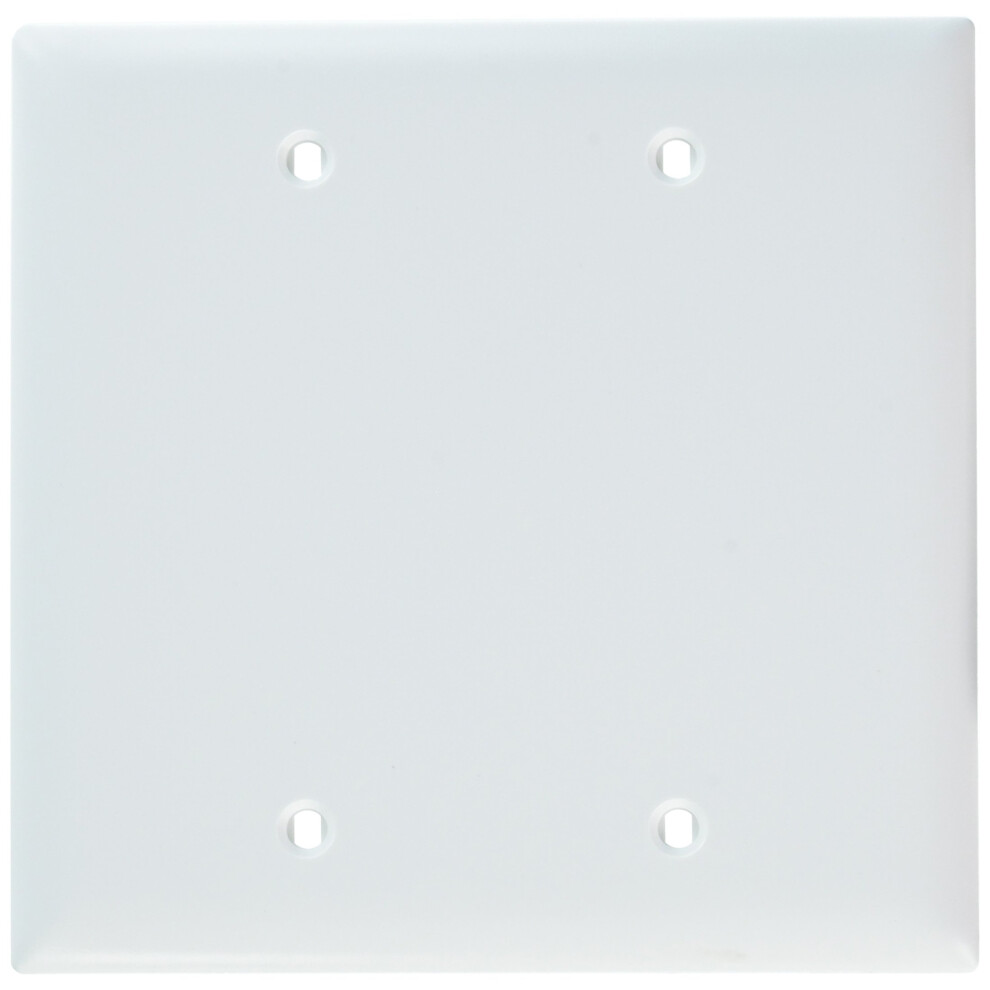 Legrand Pass & Seymour TP23W Trademaster Mid-Size Unbreakable Nylon Wall Plate  2 Gang  Two Blank Device Mount Cover  White (1 Count)