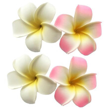 4 stuks 7 cm witte en roze Hawaiiaanse Frangipani Plumeria schuimkop bloem feest strand haarclips en accessoires