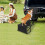 Foldable Pet Stairs 5