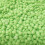 Waxness Spa Choice ?????ate????t??? s????? ?e?? ?e ???? ????? ?????? 2,2 lb / 1 kg 3
