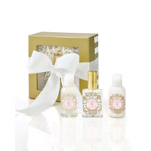 Shelley Kyle Ballerine Mini presentset innehller parfymlotion och duschgel i resestorlek frpackad i vacker krm- och guldpresentfrpackning med