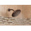 Moen Chrome Bathroom 8-Inch Wide Fixed Rainfall Showerhead 6345 3