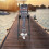 Outboard Boat Motor Cart 6