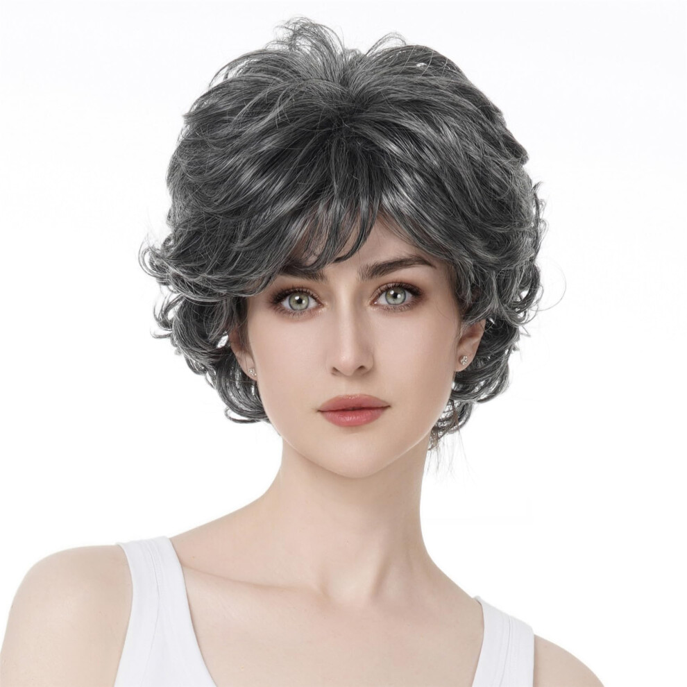 Aimole Unisex Grey Short Curly Synthetic Wigs Full Capless Hair Women's Thick Wig For Everyday Hair Wigs
