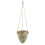 2ft. Tuscan Hanging Ceramic Scroll Planter 1