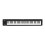 Korg microKEY2 61-Key Compact MIDI Keyboard 1