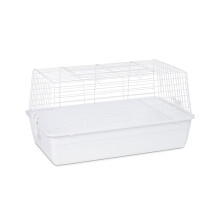 Produtos de estima      o prevudos Carina animal tubby pequeno branco (sp526w)