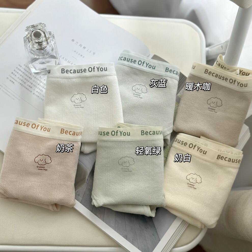 ( Tea, M) Versatile Girls 8681 Cotton Underwear Mid Rise Design Soft Breathable Fabric-image-OPC-PGFZ57F-NEW