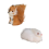 Presente de esquilo simulado modelo animal decoração de feriado 1
