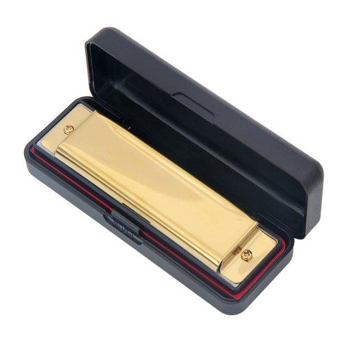 10 Hole Blues Harmonica C Key Instrument Educational Toy Gold 2