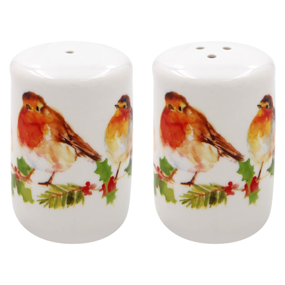 The Leonardo Collection Winter Robin Design Fine China Salt And Pepper Shaker Pots