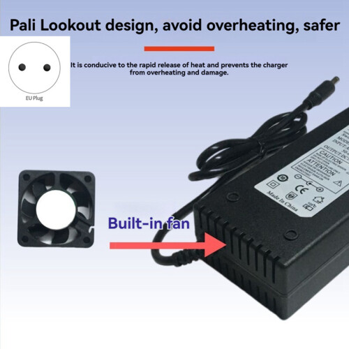 Lifepo4 Charger Iron Phosphate Battery EU Plug 2