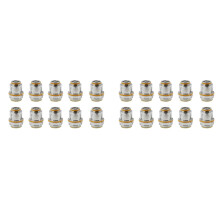 20 Peasças Cabeças de Bobina ReposiçÃO Mesh Z2 0,2 Ohm Cabeça para Acessórios Reparo Sub