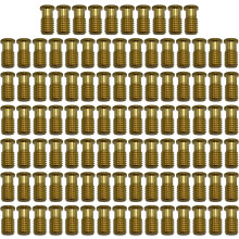 Poolzilla 100 Pack altaan suojakannen kierteinen messinki sisosan ruuvipultti ankkuriin