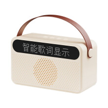 Protable Bluetooth-Luidspreker met Songtekstweergave Luidspreker Home Ktv USB-Audio-Subwooferluidspreker Wit
