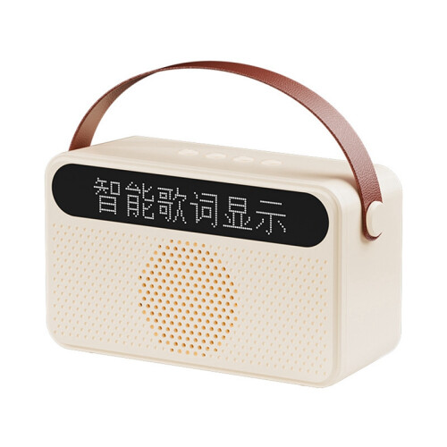 Protable Bluetooth-Luidspreker met Songtekstweergave Luidspreker Home Ktv USB-Audio-Subwooferluidspreker Wit 1