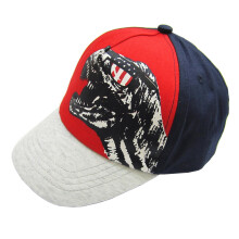 Cappellino da baseball in cotone per bambini Julerwoo con stampa di dinosauri, regolabile, per 3-12 anni (.T Rex)