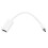 Mini DisplayPort to Cable Adapter Converter (M/AF) για Tablet PC 2