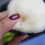 Vela.Yue ?e???? ?????? ?a?????? ???d?a? ???s?p? ????t? ?p?????? ???? Foundation ?a????t??? ?   ??f?? ???? 5