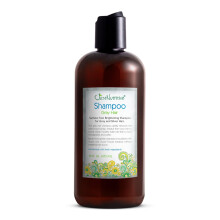 Just Nutritive Grått hårschampo - Sulfatfri ljusnande behandling för grått och silverfärgat hår | Just Natural Hair Care | 16 oz