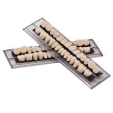 Angzhili zubn akrylov ivicov zubn prot za sada umel zub pre halloweenske hororov rekvizity 23 A2 (28 ks/sada)