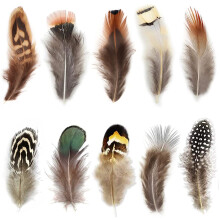 300 St   ck, 10 Stile, Naturfedern, verschiedene Federn f   r Traumf   nger, Basteln, Dekoration A (10 Stile, 300 St   ck)