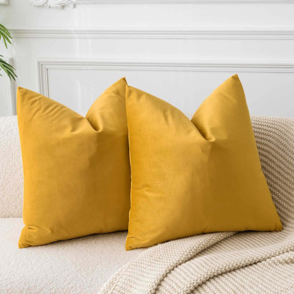 Juspurbet Lot De 2 Housses De Coussin D Coratives En Velours Dor 40 X 40 Cm Avec Fermeture Clair Pour Canap -Lit-image