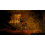 Bioshock 2 - PC 4