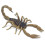 Safari Scorpion 2