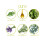 Little Green L  useschutz-Shampoo, 237 ml 4