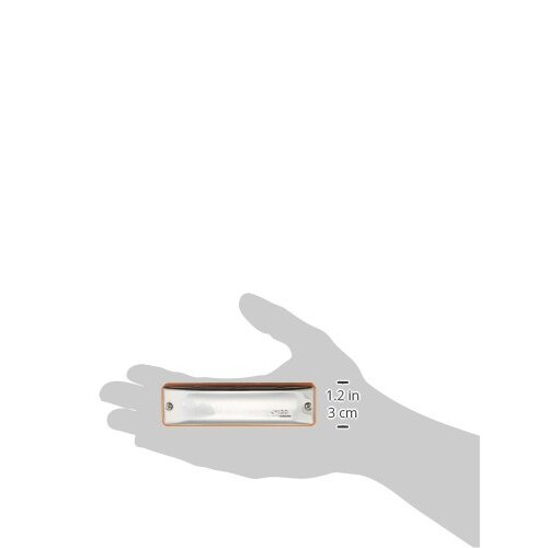 Seydel Harmonica (Blues SESSION Steel G) 2