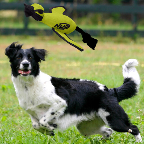 Nerf Nerf Dog Large Nylon Launching Duck  Green 1