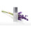 Skincerity Nightly Breathable Masque - Levendula 3