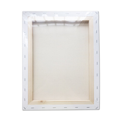 LWR Crafts Stretched Canvas 12 """" x 16 """" Pack med 6 2