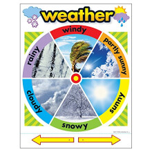 Trend Weather Learning Chart Vzdoba trdy 17"""" x 22""""