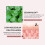 VT COSMETICS Cica Collagen Essence  Peptide Complex  1.01 fl oz 2