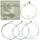 MI&VI Cordes de Violon Hamilton - Ensemble Complet 3/4 (G-D-A-E) avec E-String Supplémentaire | Acier Allemand | Medium 3