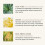 INNERSENSE 4