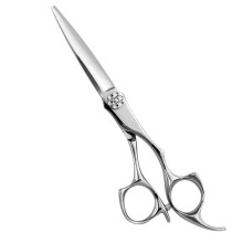 AOLANDUO 6 Inch Pro Hair Scissor -High End AICHI Steel Handmade Hair Cutting Scissor-Razor Edge/Offset Design/Pro Ergonomic for Salon Stylists Beauti