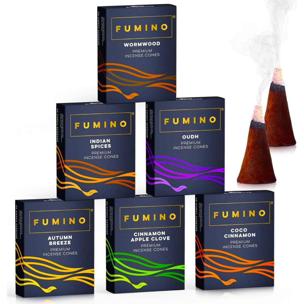 Fumino Fresh Incense Cones Multipack Fireside and Frost Bundle 6 Boxes 120 Cones Masala Agarbatti Joss Scent Fragrance for Relaxation and Meditation-image-OPC-PGGBKCS-NEW