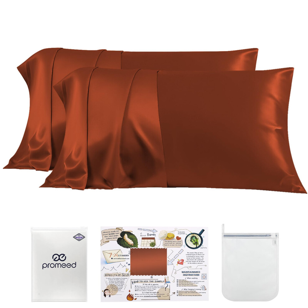 Promeed 23 Momme Silk Pillowcase 2 Pack With Zipper 3Rd Gen Grade 6A+ 100% Mulberry Silk Pillow Case Set Of 2 Cooling Pillow Cases For Hot Sleepers