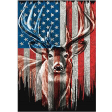 KTHOFCY 5D DIY Diamond Painting Kits voor volwassenen Kinderen Amerikaanse vlag Herten Volledige boor Borduren Kruissteek Kristal Strass Schilderijen