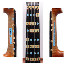 Fantastic Finger Guide for Violins | Stringed Musical Instruments | Fingerboard and Fretboard Stickers for Learning All Notes | Kids/Adult Beginner Vi