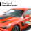 Car Scratch Remover 100ml with Sponge for All Colors 6