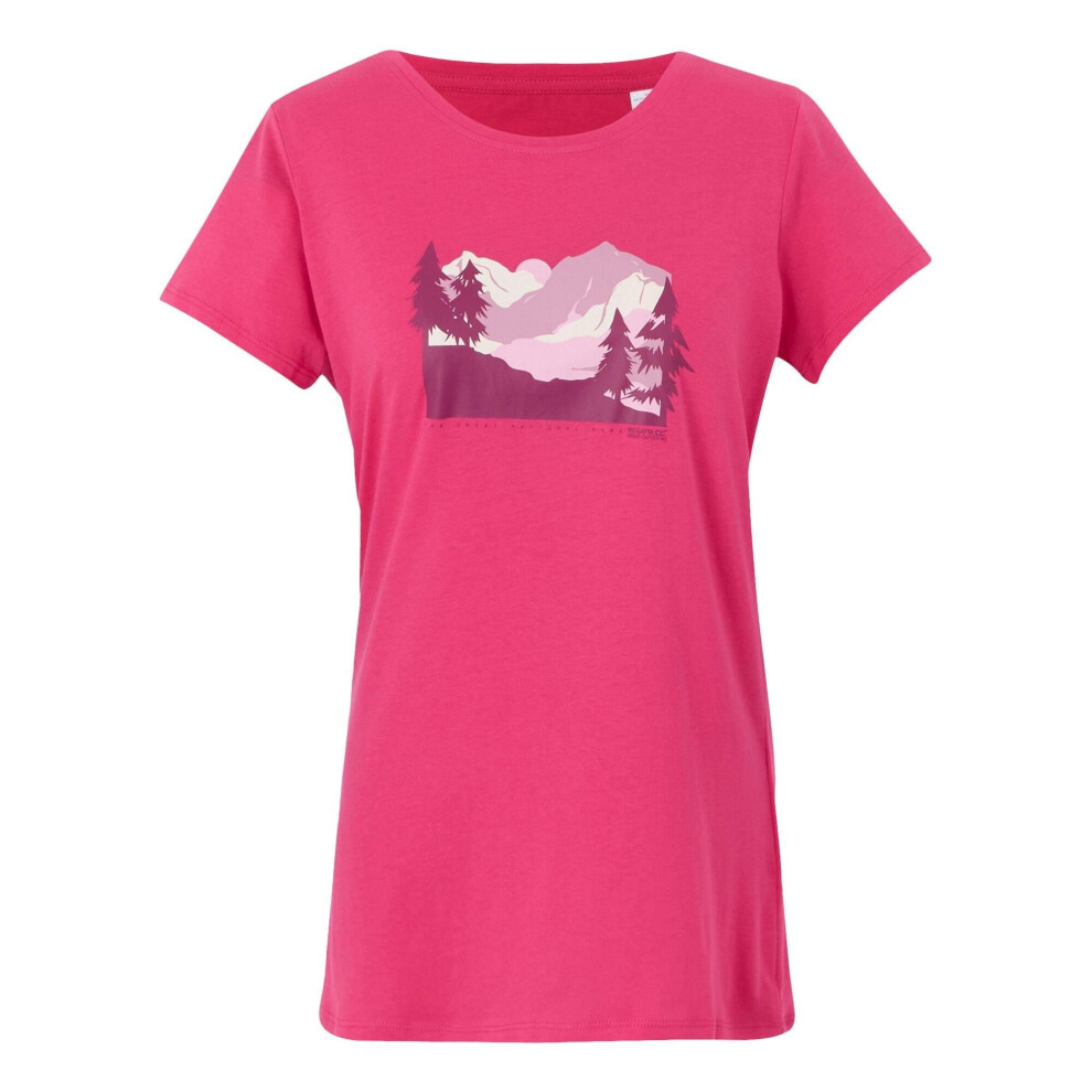 (22 UK, Pop) Regatta Womens/Ladies Breezed V Pine Tree T-Shirt