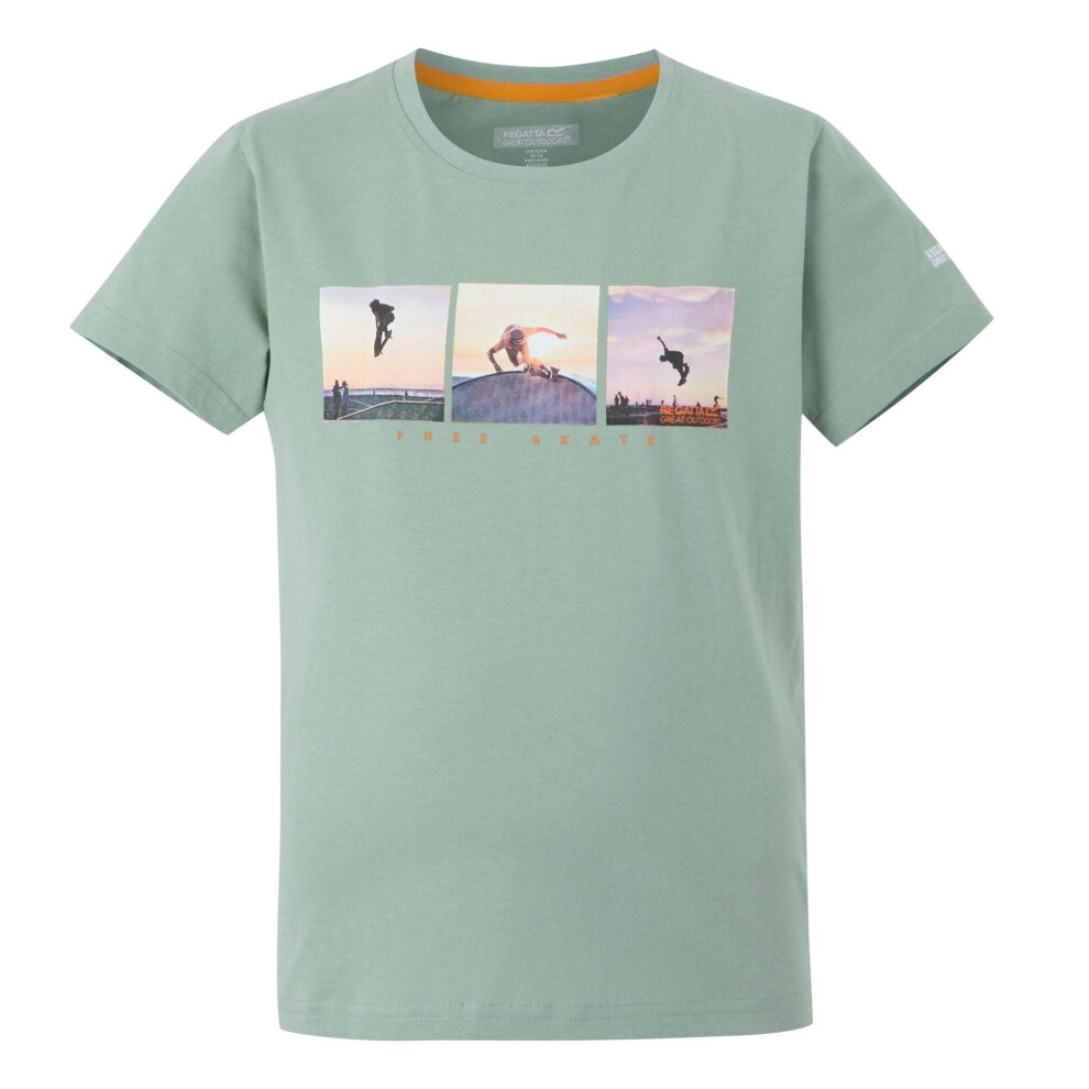 (7-8 Years, Glacier) Regatta Childrens/Kids Bosley VIII Graphic Print T-Shirt
