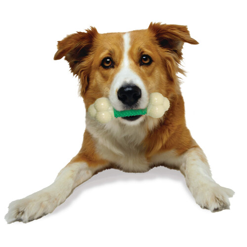 Nylabone Nylabone Double Action Power tygger holdbar hundelegetøjsmedium - op til 30 kg. 2