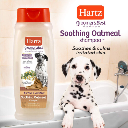 O melhor shampoo de aveia de Hartz Groomer 2