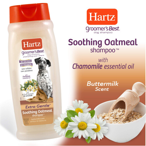 O melhor shampoo de aveia de Hartz Groomer 1